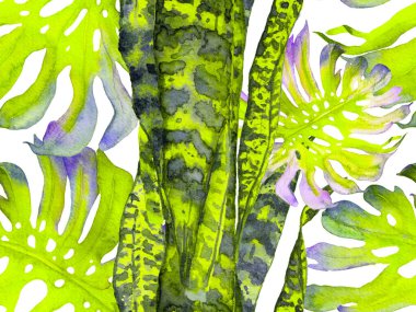 Suluboya Tertemiz Desen 'i Bırakıyor.