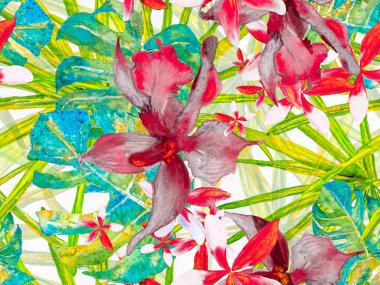 Orkide Kusursuz Desen.