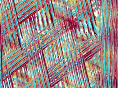 Zebra Kusursuz Deseni.