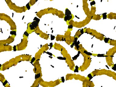 Yılan kusursuz desen.