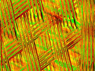 Zebra Kusursuz Deseni.