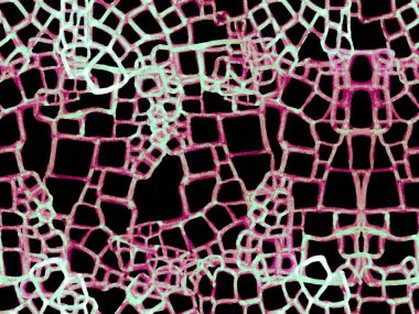 Timsah Kusursuz Desen.