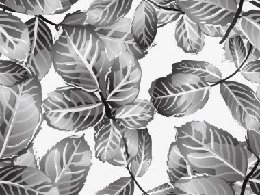 pürüzsüz desen bırakır.