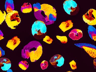 Biyo Jasmin Kusursuz Desen.