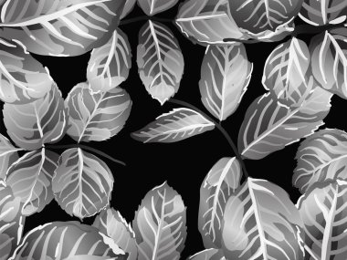 pürüzsüz desen bırakır.