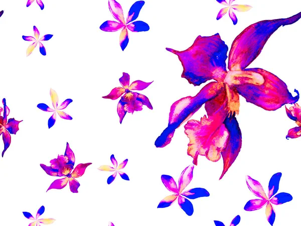 Orchid Seamless Pattern. — Stock Photo, Image