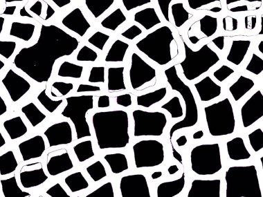 Timsah Kusursuz Desen.