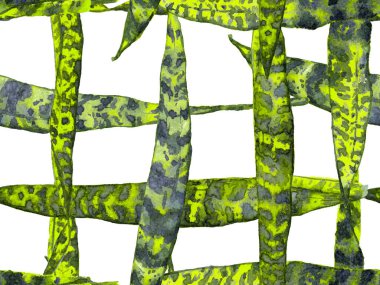 Suluboya Tertemiz Desen 'i Bırakıyor.