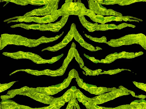 Suluboya kusursuz desen.