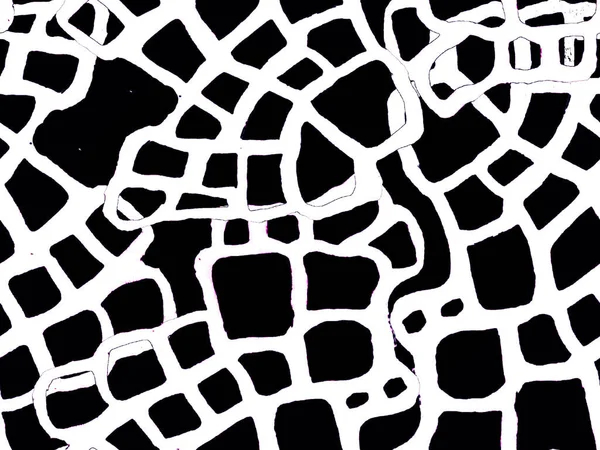 Timsah Kusursuz Desen.