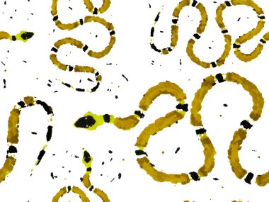 Yılan kusursuz desen.