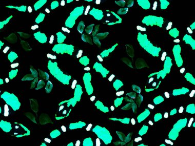 Yılan kusursuz desen.