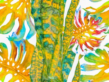 Suluboya Tertemiz Desen 'i Bırakıyor.