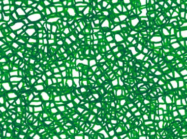 Timsah Kusursuz Desen.