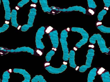 Yılan kusursuz desen.