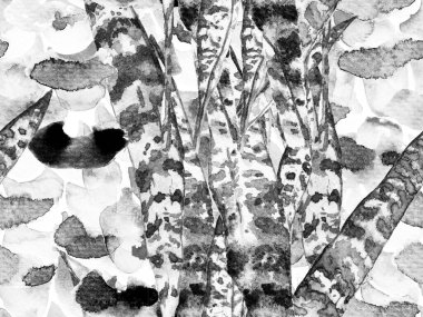 Tropik, pürüzsüz desen.