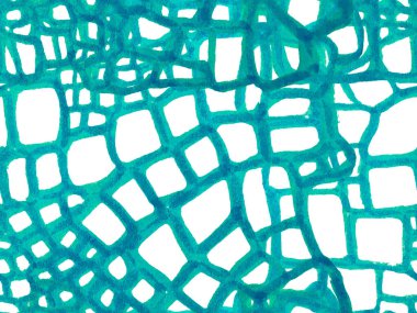 Timsah Kusursuz Desen.