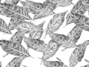 Biyo Jasmin Kusursuz Desen.