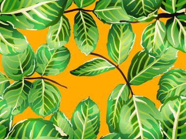 pürüzsüz desen bırakır.