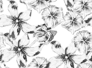 Biyo Jasmin Kusursuz Desen.