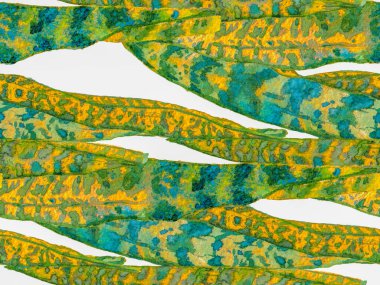 Suluboya Tertemiz Desen 'i Bırakıyor.