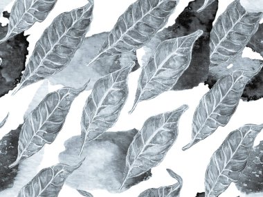 Biyo Jasmin Kusursuz Desen.