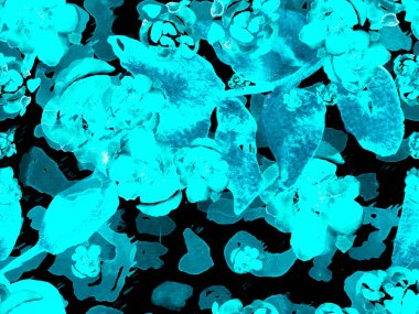 Tropik, pürüzsüz desen.