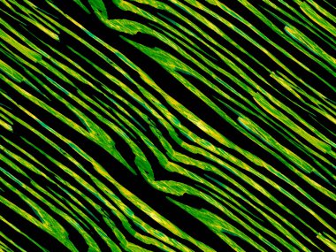 Suluboya kusursuz desen.