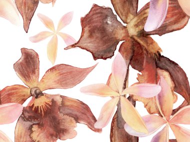 Orkide Kusursuz Desen.