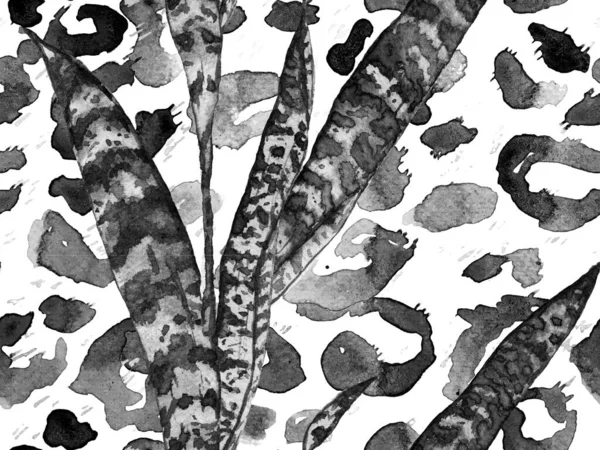 Tropik, pürüzsüz desen.