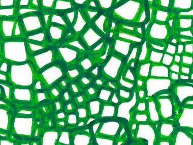 Timsah Kusursuz Desen.