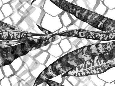 Tropik, pürüzsüz desen.