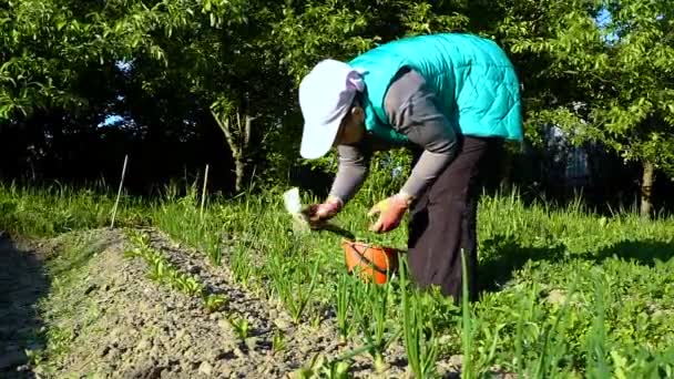 Een vrouw in een groen vest onkruid een tuin bed — Stockvideo