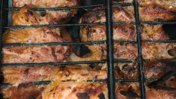 Frying meat on the coals. In the barbecue — Stock Video