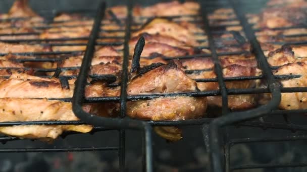 A fritar carne nas brasas. No churrasco — Vídeo de Stock
