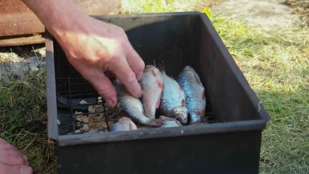 Man Puts Fish Smokehouse Lawn — Stock Video