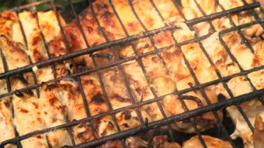 Bir barbekü ızgara tavuk eti kızarmış. Açık havada