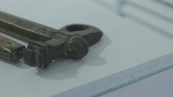 Αρχαία Κυνήγι Θανάσιμο Όπλο — Αρχείο Βίντεο