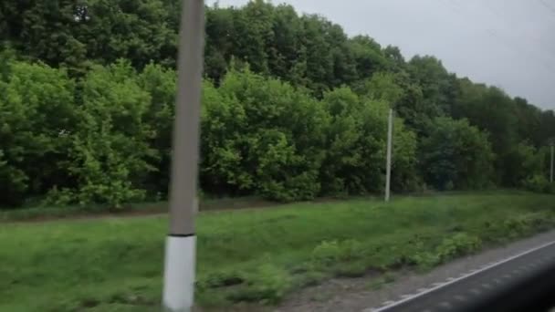 Forest bomen van het trein-venster — Stockvideo