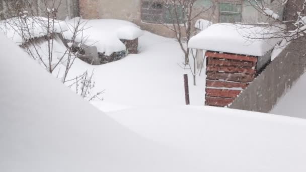 院子里下雪的冬天 — 图库视频影像