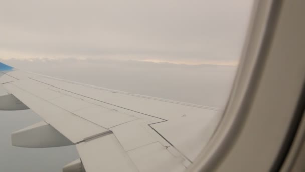 Flygplan flyger genom molnen — Stockvideo