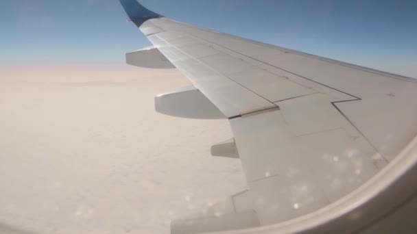 Flugzeug-Flügel über den Wolken — Stockvideo