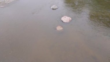 Nehir Sihl Zürih İsviçre