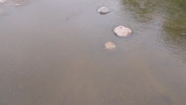 川の流れ Sihl チューリッヒ スイス — ストック動画