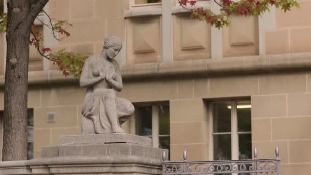 Статуя жінка в — стокове відео