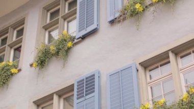 Fener amblemi Zürih Kanton