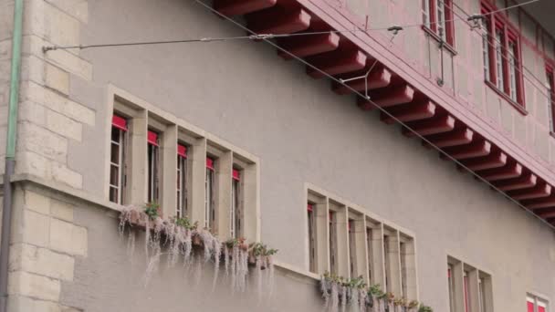 Flowers Swinging Windows Building Wall — Stock Video
