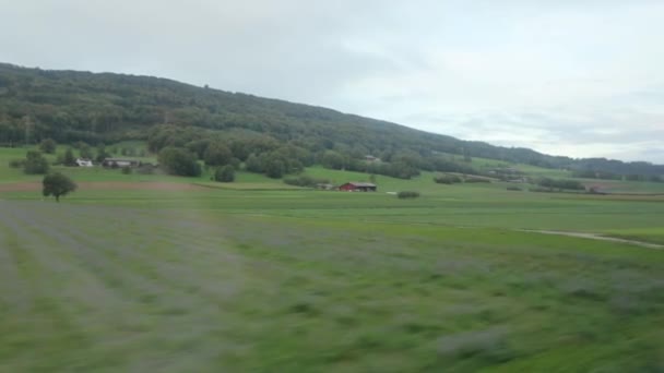 Сельские поля из окна поезда — стоковое видео