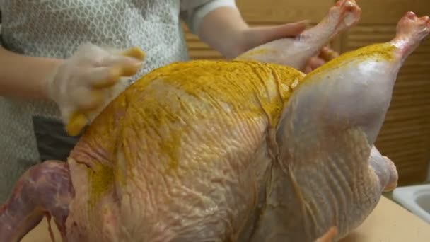 Ένα μπαχαρικό κρέας ωμό Τουρκία — Αρχείο Βίντεο