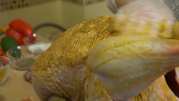 A Spice Turkey Vegetais — Vídeo de Stock